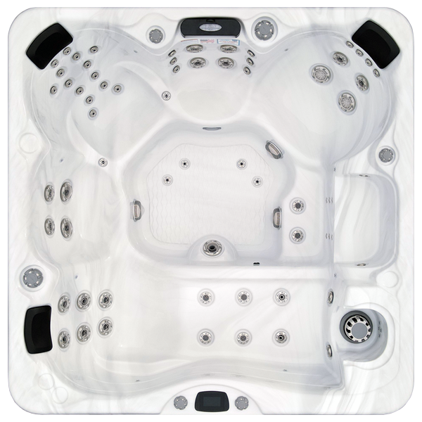 Avalon-X EC-867LX hot tubs for sale in Waltham